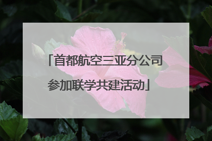 首都航空三亚分公司参加联学共建活动